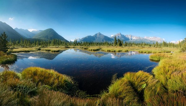Uncover Top Scottish Isles Vacation Homes for Unforgettable Sea Kayaking Adventures